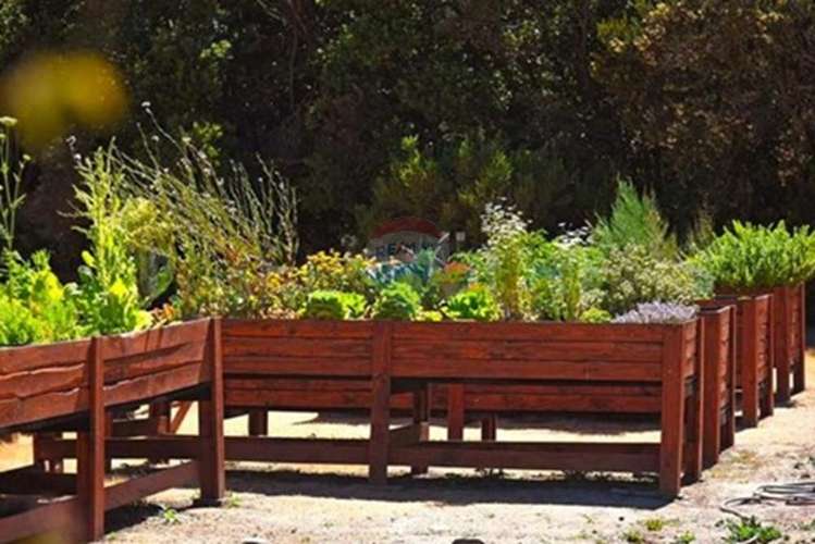 Propiedad autosustentable naturaleza y confort