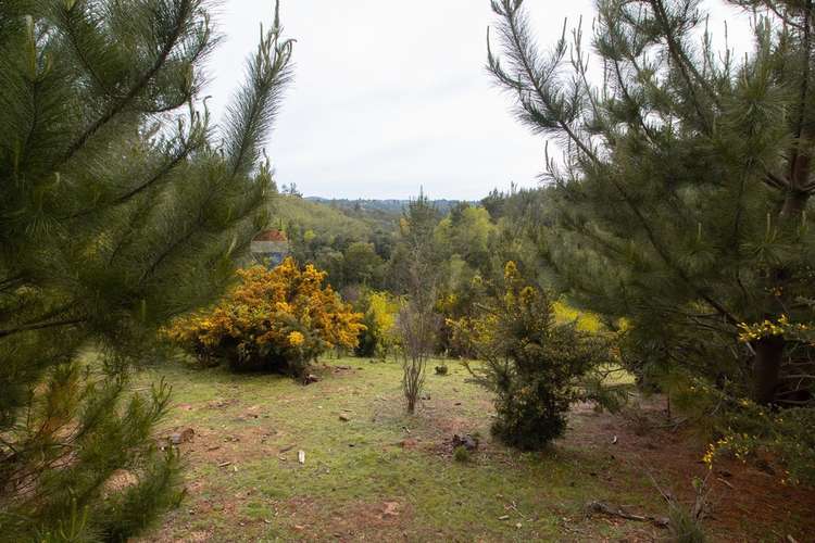 Venta de terrenos de 1 hectárea en cerro alto