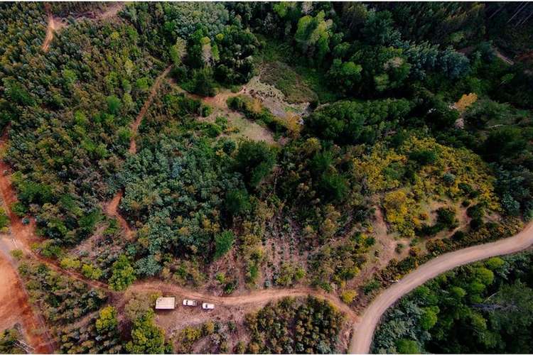 Venta de terrenos de 1 hectárea en cerro alto