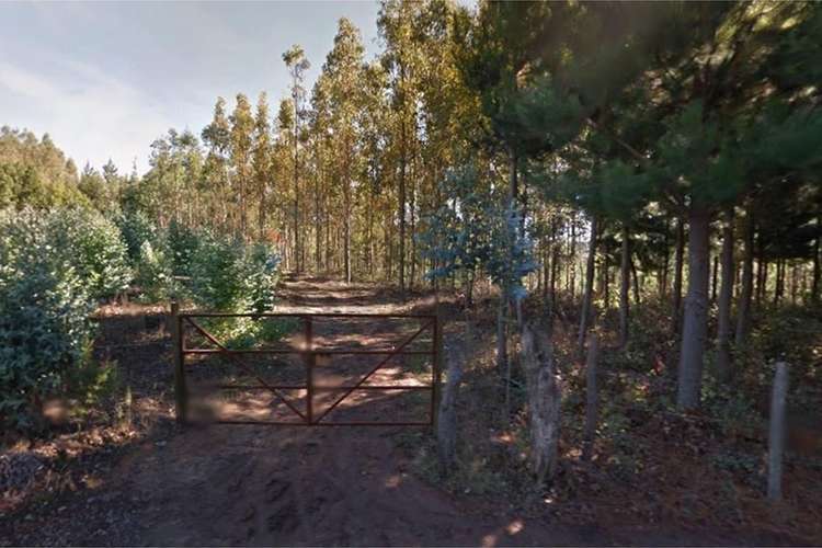 Venta de terrenos de 1 hectárea en cerro alto