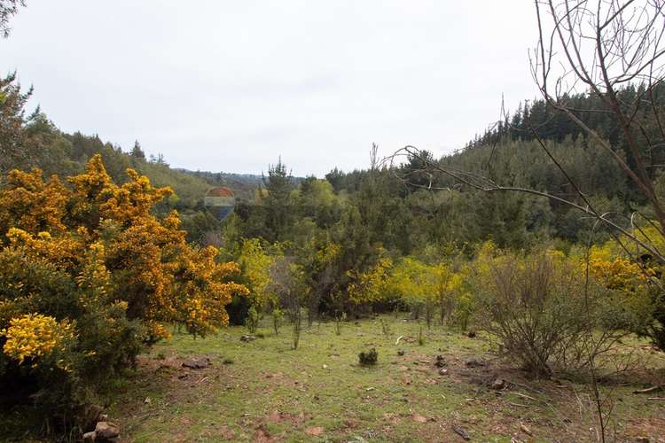 Venta de terrenos de 1 hectárea en cerro alto