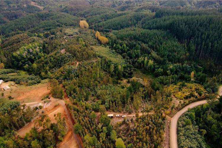 Venta de terrenos de 1 hectárea en cerro alto