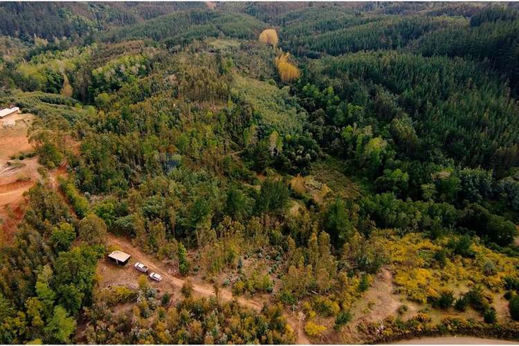 Venta de terrenos de 1 hectárea en cerro alto