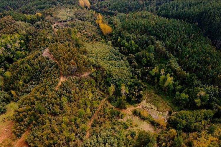 Venta de terrenos de 1 hectárea en cerro alto