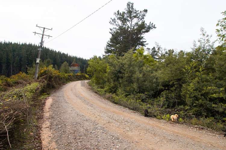Venta de terrenos de 1 hectárea en cerro alto