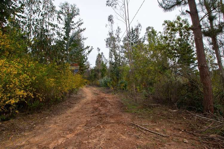 Venta de terrenos de 1 hectárea en cerro alto