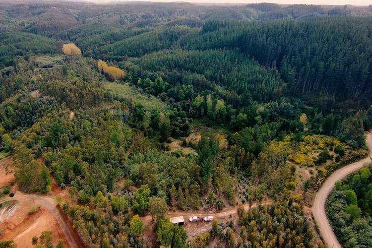 Venta de terrenos de 1 hectárea en cerro alto