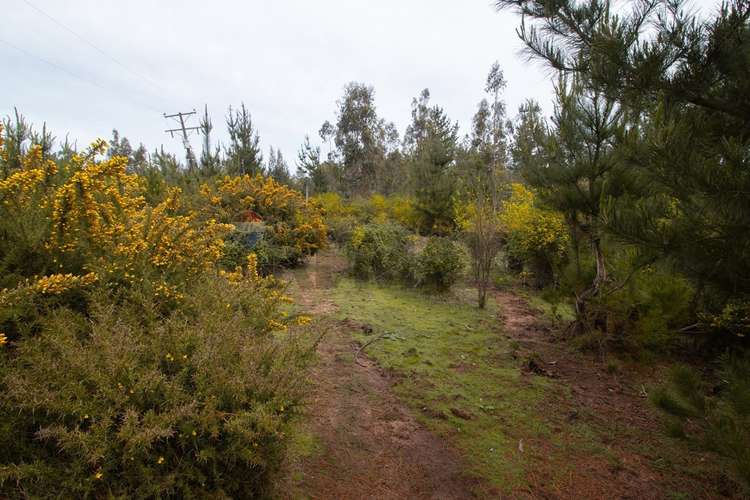Venta de terrenos de 1 hectárea en cerro alto