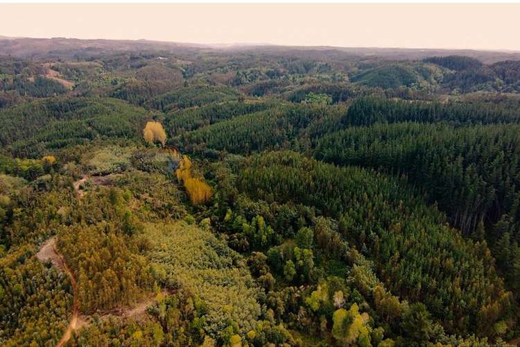 Venta de terrenos de 1 hectárea en cerro alto
