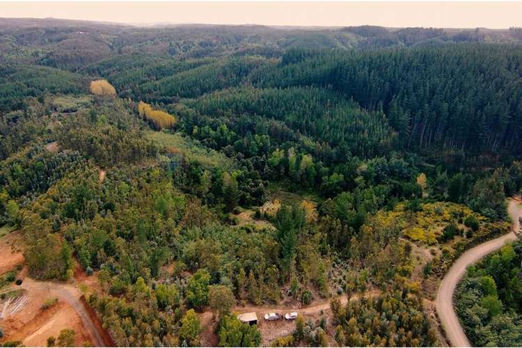 Venta de terrenos de 1 hectárea en cerro alto