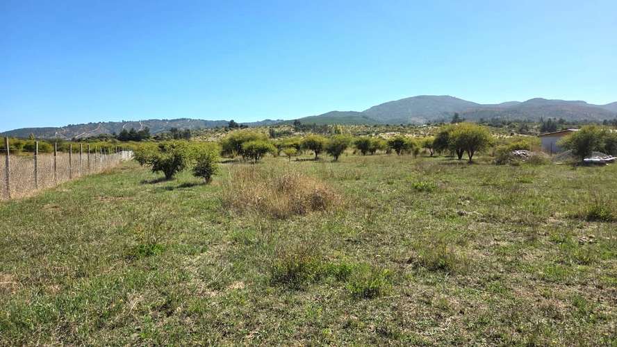 Parcela Loteo Santa María de Mingre Venta San Javier - Imagen 7