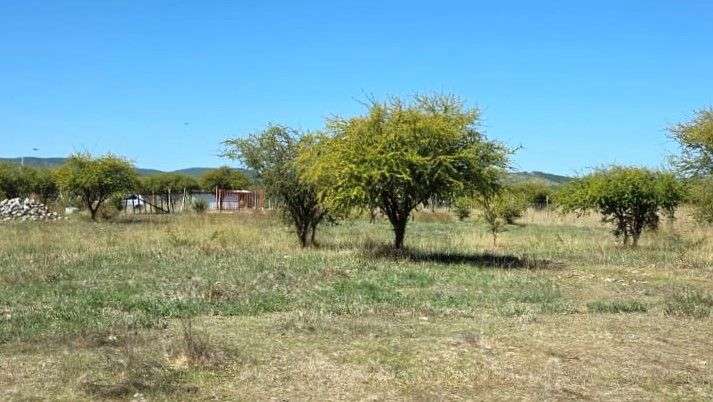 Parcela Loteo Santa María de Mingre Venta San Javier