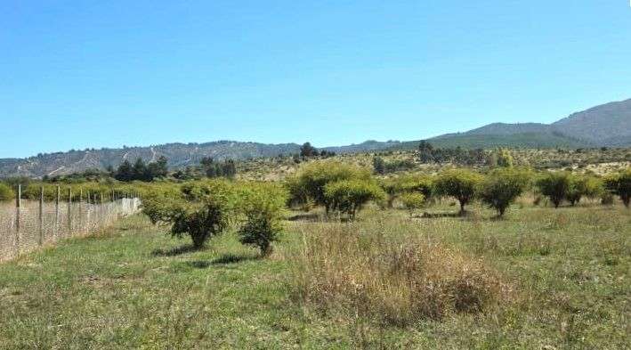 Parcela Loteo Santa María de Mingre Venta San Javier