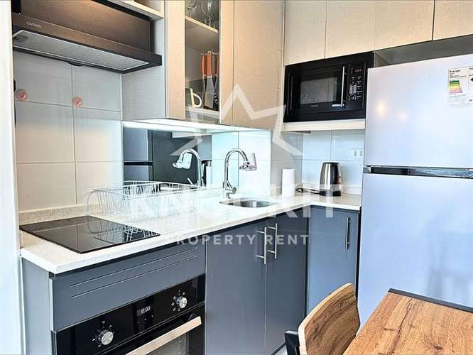 Arriendo Depto 1D1B con Estac y Bod - Semi Amoblado en Macul