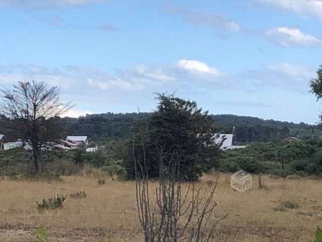 Parcela Sector La Vara A 800 mts de  Línea Ferrea - Imagen 4