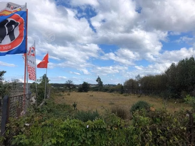 Parcela Sector La Vara A 800 mts de  Línea Ferrea - Imagen 3