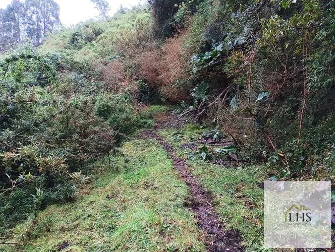 4. 4,49 Ha en Quinchao | Acceso pavimentado, factibilidad eléctrica y vertientes