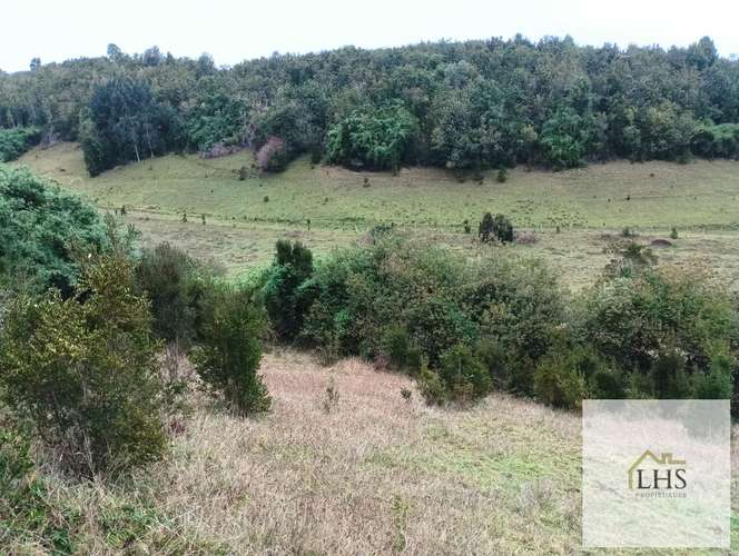 4. 4,49 Ha en Quinchao | Acceso pavimentado, factibilidad eléctrica y vertientes