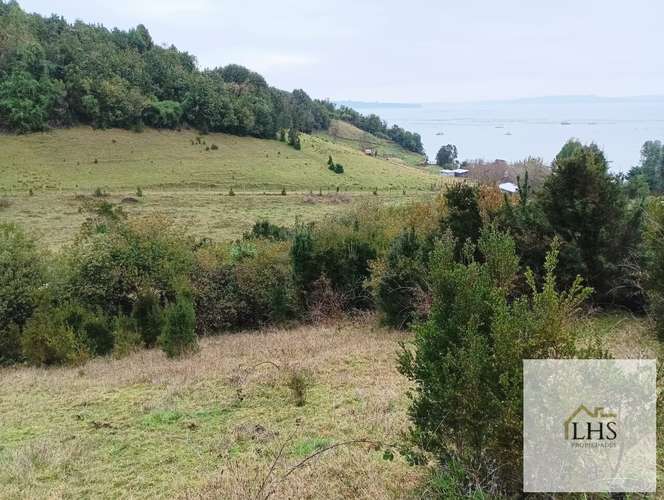 4. 4,49 Ha en Quinchao | Acceso pavimentado, factibilidad eléctrica y vertientes