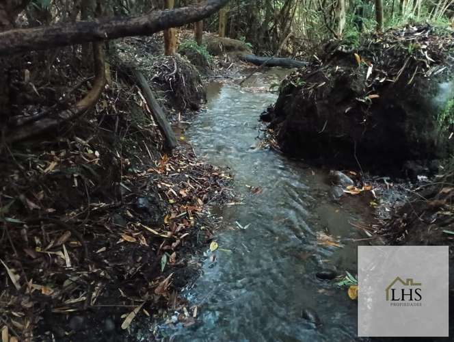 4. 4,49 Ha en Quinchao | Acceso pavimentado, factibilidad eléctrica y vertientes