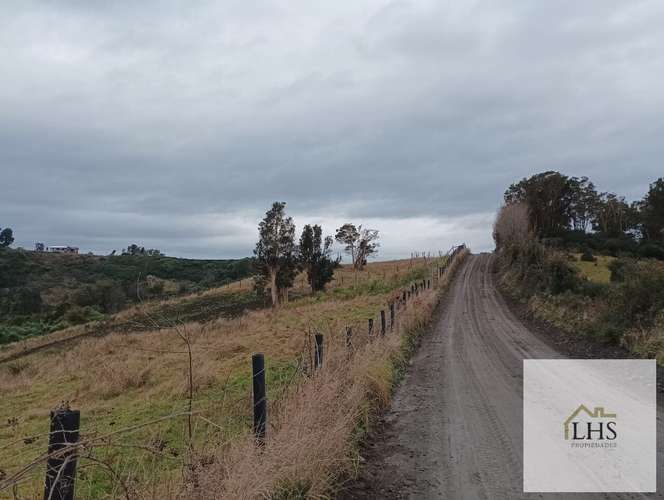 4. 4,49 Ha en Quinchao | Acceso pavimentado, factibilidad eléctrica y vertientes