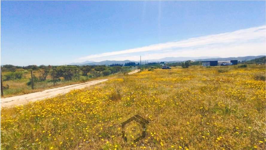 Parcela 5.000 m² en Venta – Limache