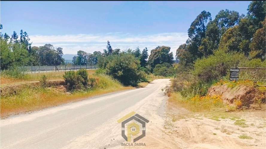 Parcela 5.000 m² en Venta – Limache