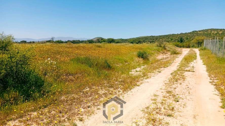 Parcela 5.000 m² en Venta – Limache
