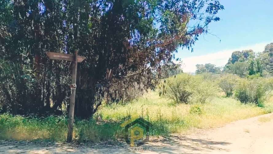 Parcela 5.000 m² en Venta – Limache