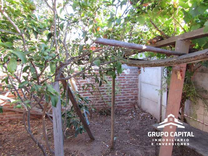 Casa con Patio y Árboles Frutales en Quillota