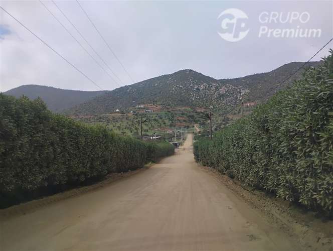 Parcela en venta en Curacaví 5000m2 con medidor agua, luz - Imagen 13