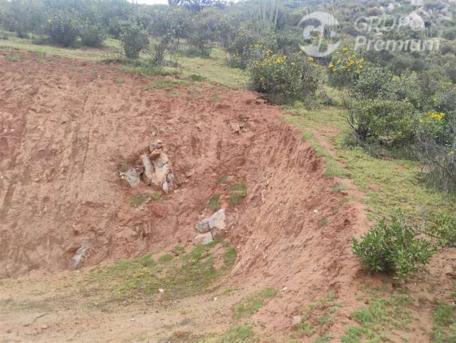 Parcela en venta en Curacaví 5000m2 con medidor agua, luz - Imagen 11