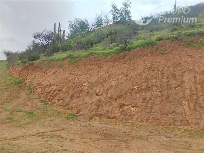 Parcela en venta en Curacaví 5000m2 con medidor agua, luz - Imagen 6