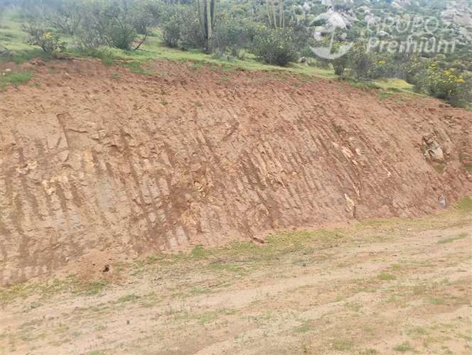 Parcela en venta en Curacaví 5000m2 con medidor agua, luz - Imagen 7