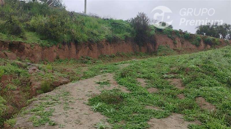 Parcela en venta en Curacaví 5000m2 con medidor agua, luz - Imagen 2