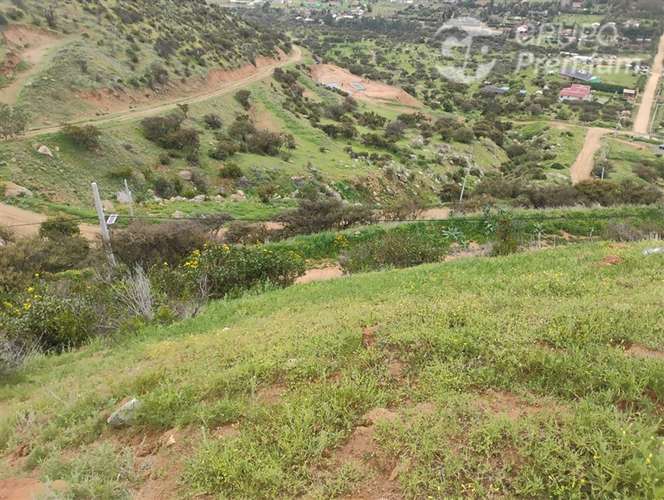 Parcela en venta en Curacaví