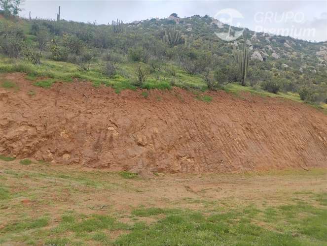 Parcela en venta en Curacaví 5000m2 con medidor agua, luz - Imagen 10