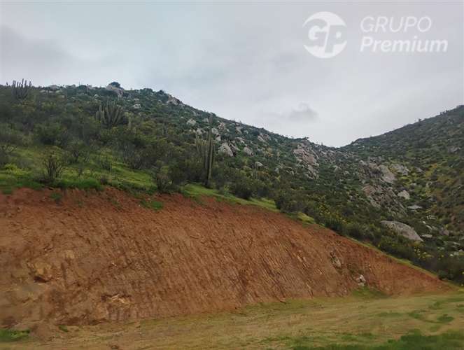 Parcela en venta en Curacaví 5000m2 con medidor agua, luz - Imagen 9
