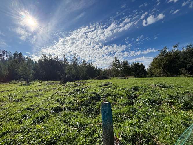 VENTA SITIOS A 10 MIN DE CONCEPCIÓN - Imagen 8
