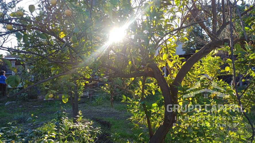 Se Vende Casa Quinta en Pleno Centro de Quillota - Imagen 14