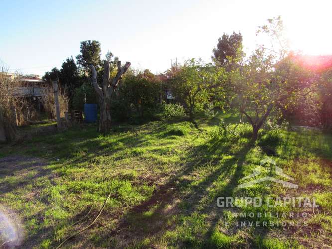 Se Vende Casa Quinta en Pleno Centro de Quillota - Imagen 25