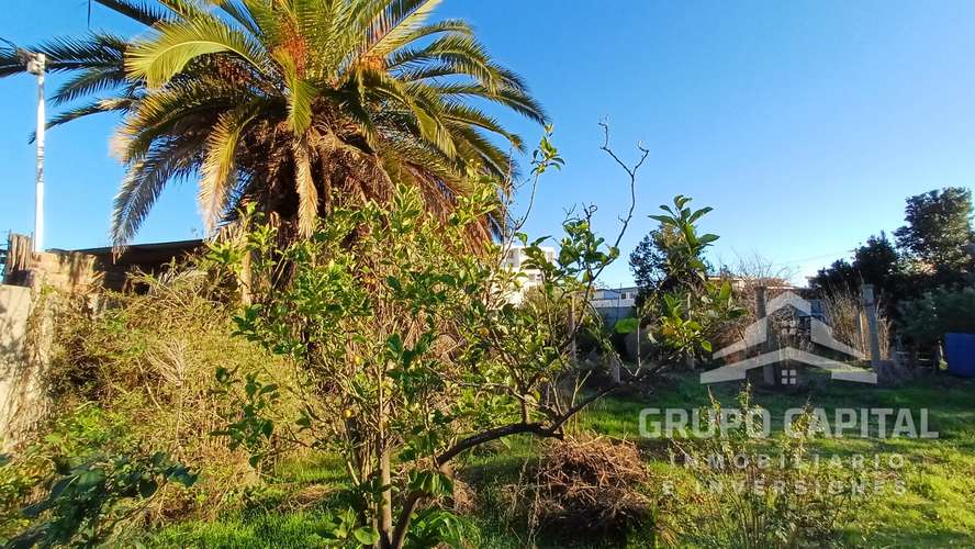 Se Vende Casa Quinta en Pleno Centro de Quillota - Imagen 15