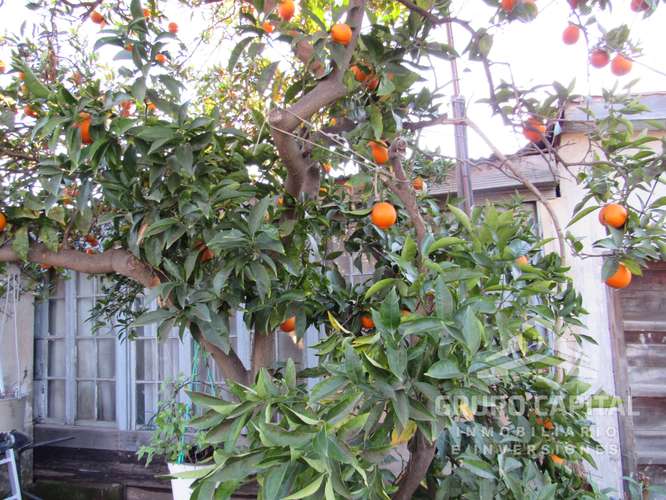 Se Vende Casa Quinta en Pleno Centro de Quillota - Imagen 13