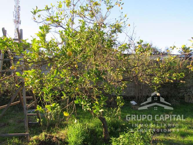 Se Vende Casa Quinta en Pleno Centro de Quillota - Imagen 29