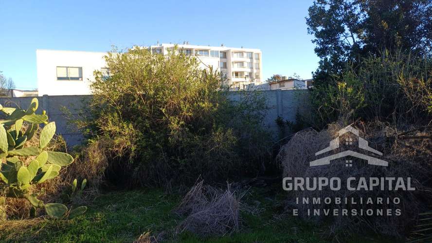 Se Vende Casa Quinta en Pleno Centro de Quillota - Imagen 22