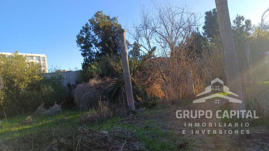 Se Vende Casa Quinta en Pleno Centro de Quillota - Imagen 16