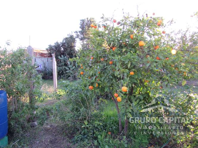 Se Vende Casa Quinta en Pleno Centro de Quillota - Imagen 28