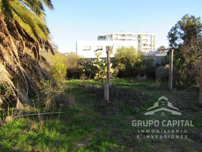 Se Vende Casa Quinta en Pleno Centro de Quillota - Imagen 23