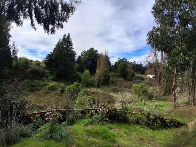 VENTA AMPLIA PARCELA EN PUCHUNCAVI