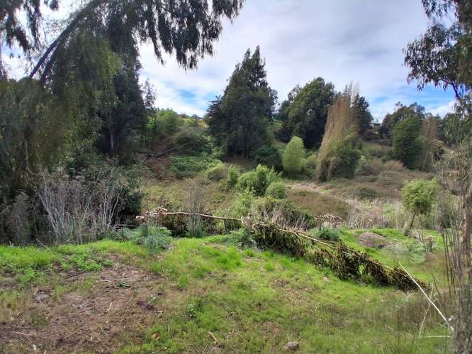 VENTA AMPLIA PARCELA EN PUCHUNCAVI